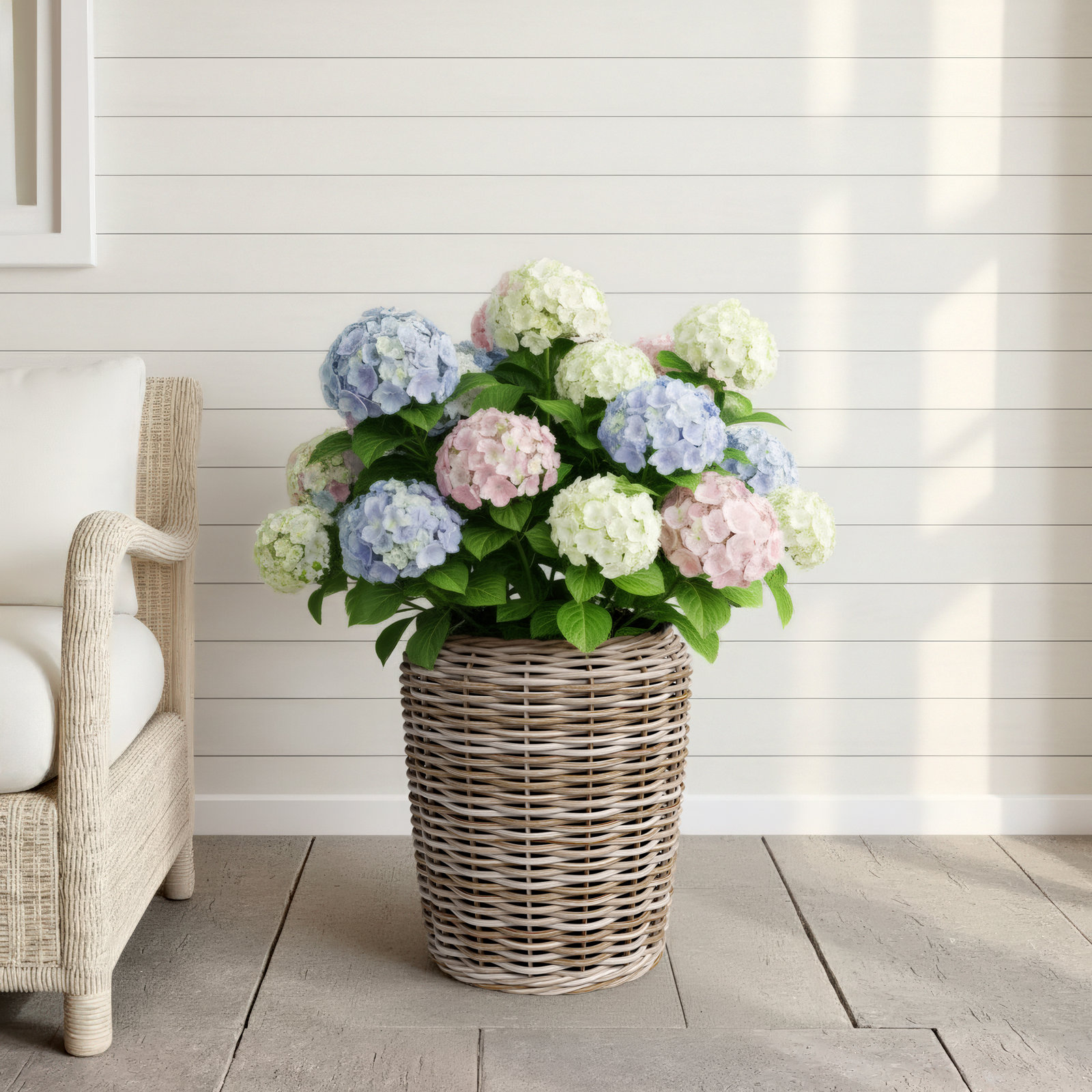 Sedona Pot Planter, 19" H x 17.75" W x 17.75" D