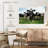 Brampt Holstein Cows-106300418