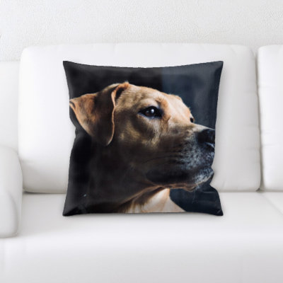 Microsuede Throw Pillow