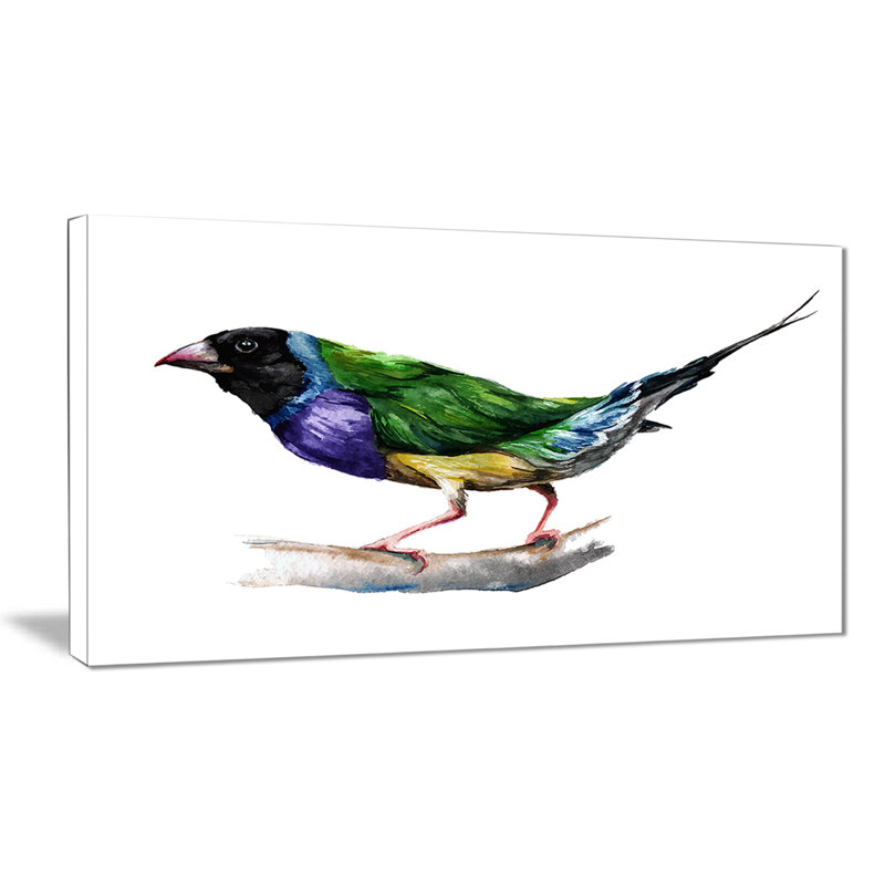 Gould Finch - impression sur toile tendue, H 20 po x l 40 po x P 1po