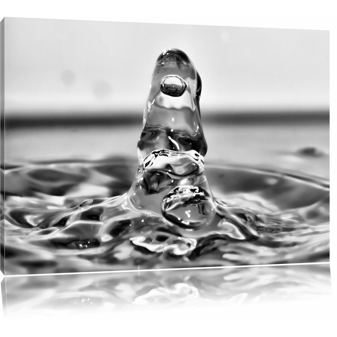 Leinwandbild Außergewöhnlicher Wassertropfen in Monochrom