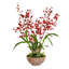 Orchids Floral Arrangement in Planter