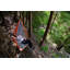 Hamac de camping double Kylee Parachute-27257346-27257348