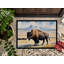 Paillasson Prairie Bison-112746413