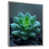 Silver Floater Framed Canvas