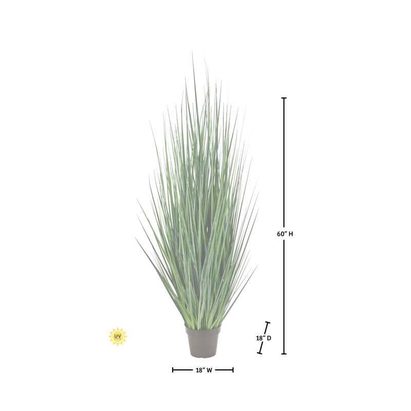 Herbe d'agave en pot 60 po UV, 60 po x 17 po