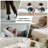 Upholstered Sofa, Cloud Couch Modular Sectional Sofa Couch for Living Room Bedroom-1213131611