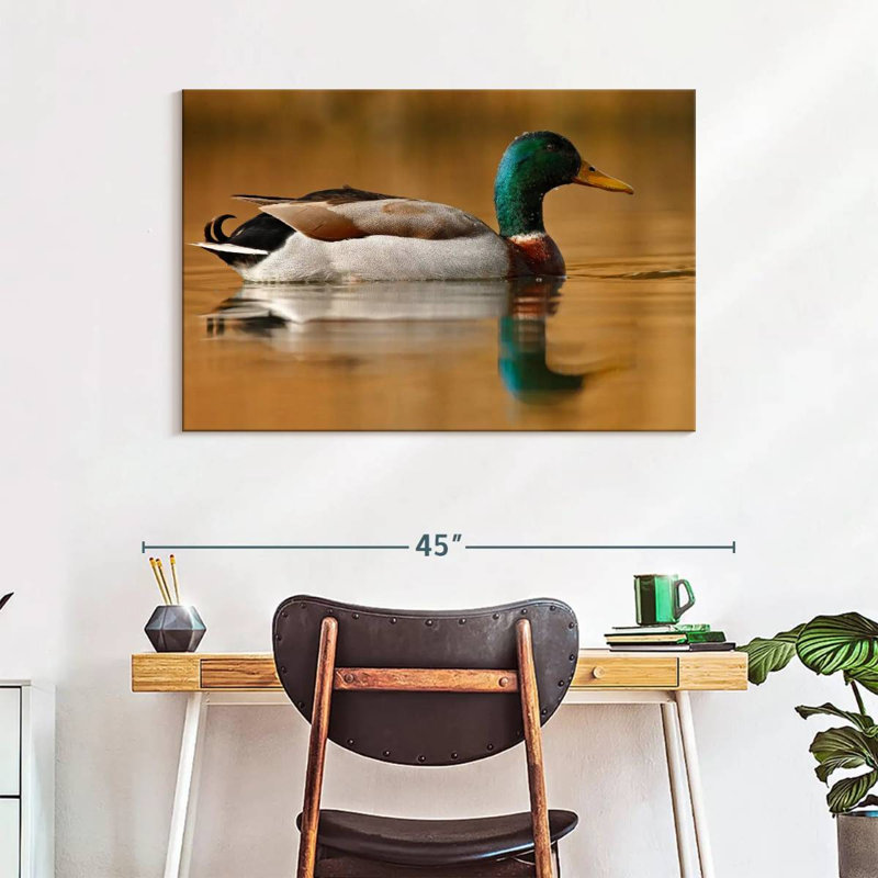 Brampt Bathing Mallard Duck, 26" H x 39" W