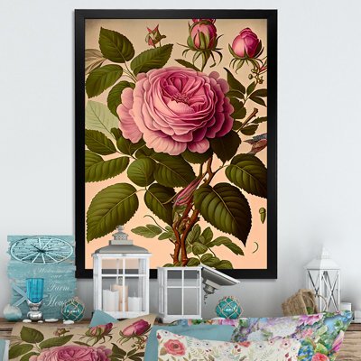 " Blossoming Pink Vintage Rose I "