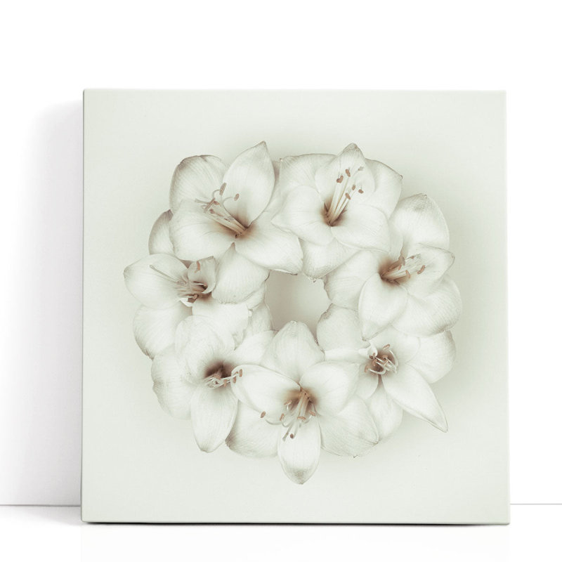 Amaryllis Flower Wreath 1 - reproduction d'art sur toile, H 12 po x l 12 po