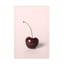 Simple cerise sur toile-1569946012