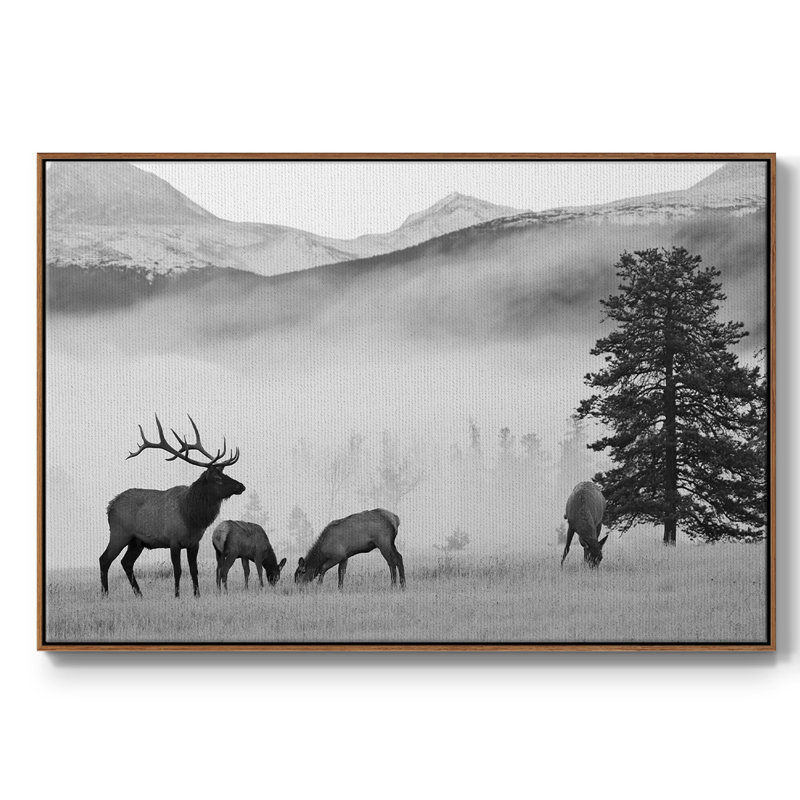 Mountain Elk, reproduction d'art sur toile, Noyer, H 25 po x l 37 po x P 2 po
