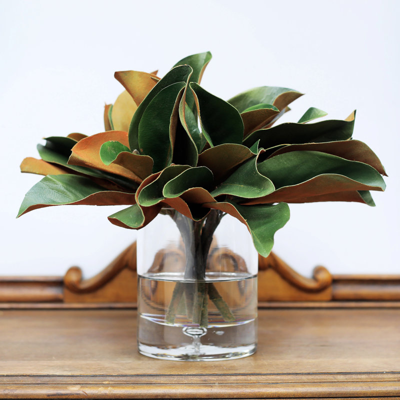 Feuilles d'arrangement quotidien de magnolia dans un vase, H 12 po x l 14 po x P 14 po