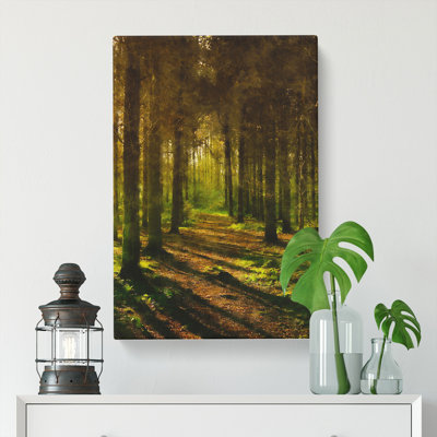 Sunlight Forest Vol.7 - Wrapped Canvas