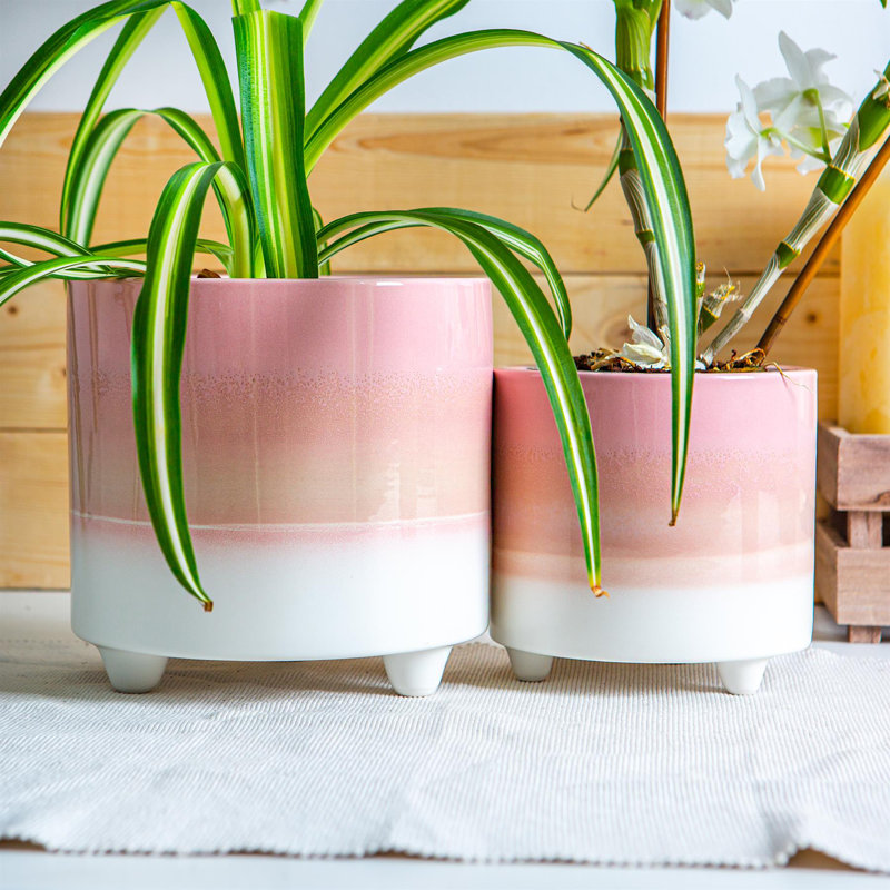 Ceramic Pot Planter, Pink