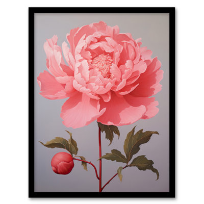 Pretty Pink Peony Elegant Floral Bloom Detailed - Single Picture Frame Print