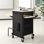 40'' H x 21'' W 1 AV Cart with Wheels