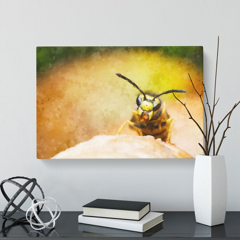 Wasp - Wrapped Canvas, 50cm H x 76cm W x 3cm D