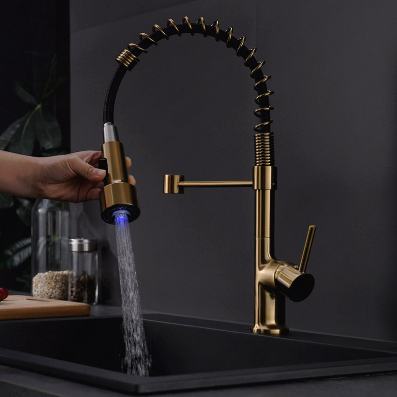 Robinet d'évier de cuisine à poignée simple avec douchette extractible