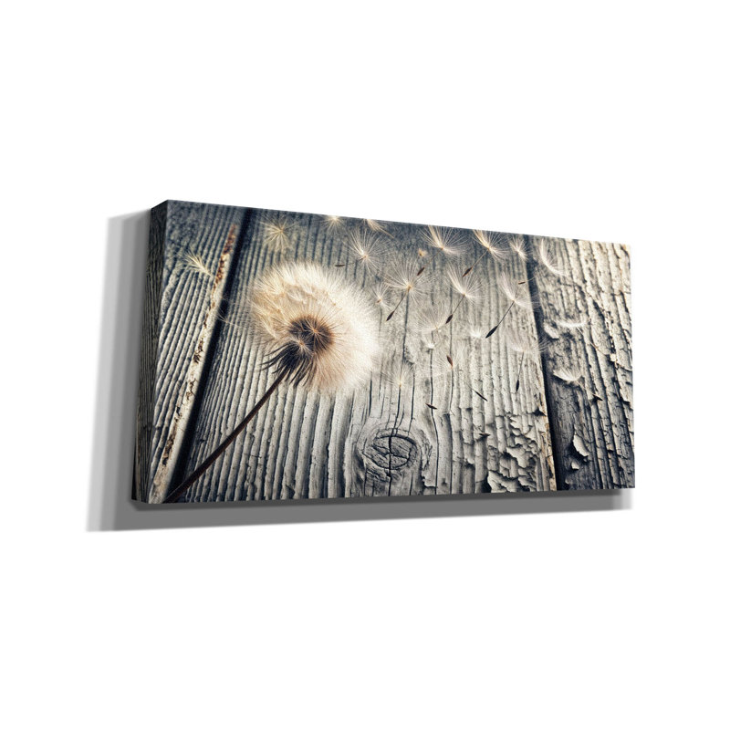 «Flying Dandelion Weathered Wood» par Rey Klimt, art mural, H 20 po x l 40 po