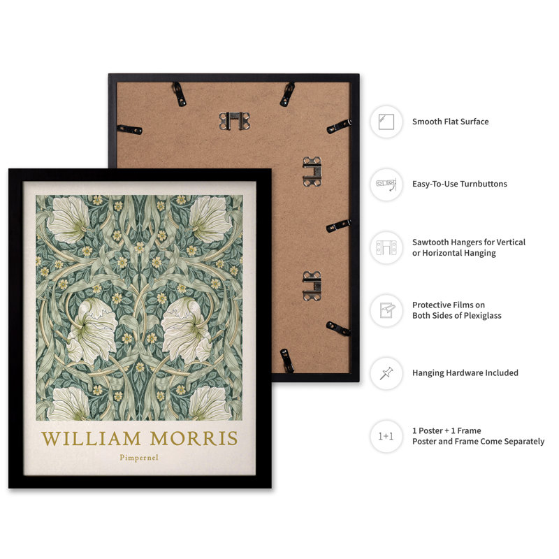 William Morris - Pimpernel No2, 24"H x 32"W, Poster, Black Framed