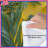 Green Palm Leaves Comforter-125028126