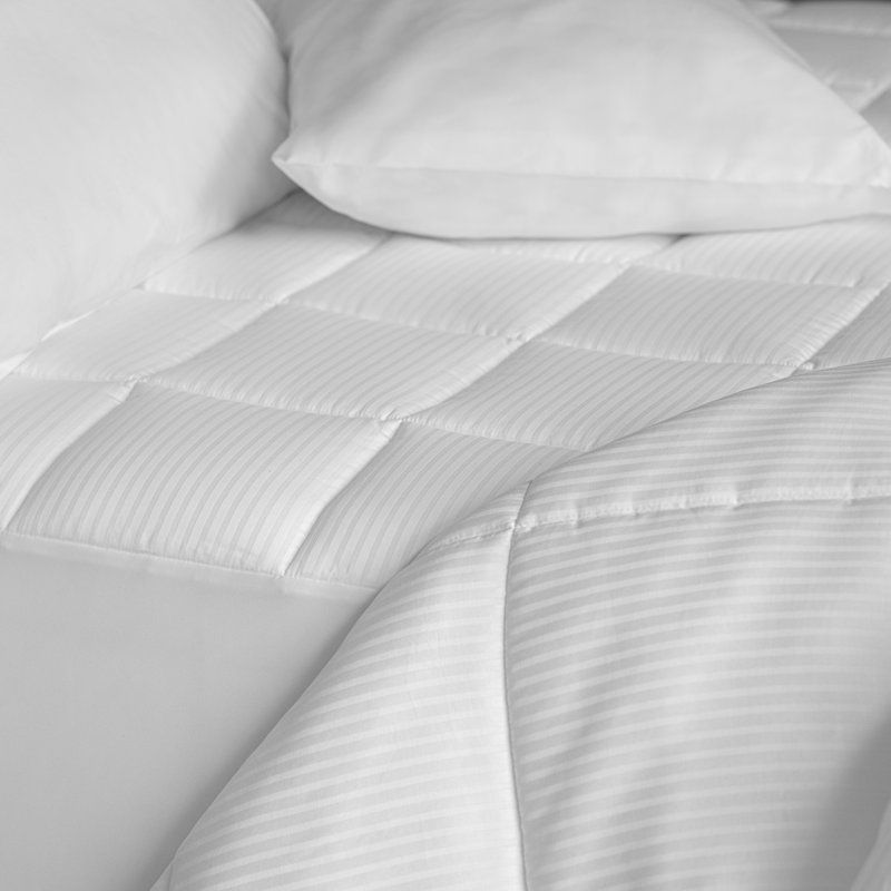 Édredon en duvet de coton de qualité égyptienne Martha Stewart, Très grand