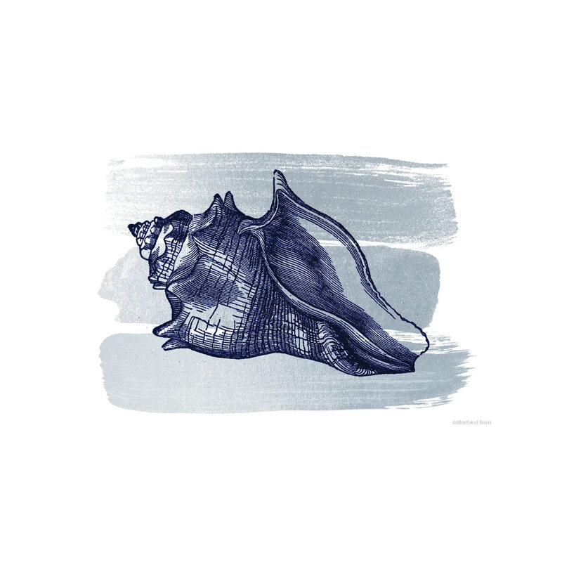 Brushed Midnight Blue Seashell by Bluebird Barn - Print on Canvas, Wrapped Canvas, 66.04 cm H x 45.72 cm W x 1.91 cm D