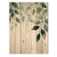 Plantes botaniques vertes minimalistes III - feuilles, art mural sur bois de pin naturel-285836597