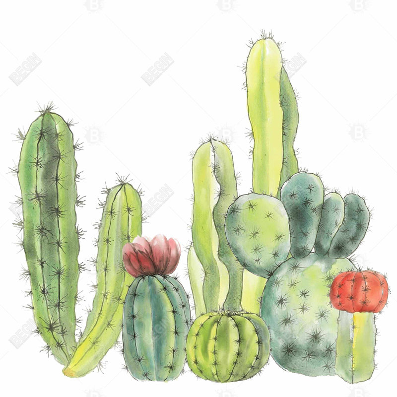 Small cactus - 20"x20" Throw pillow - Poly twill - Print on demand
