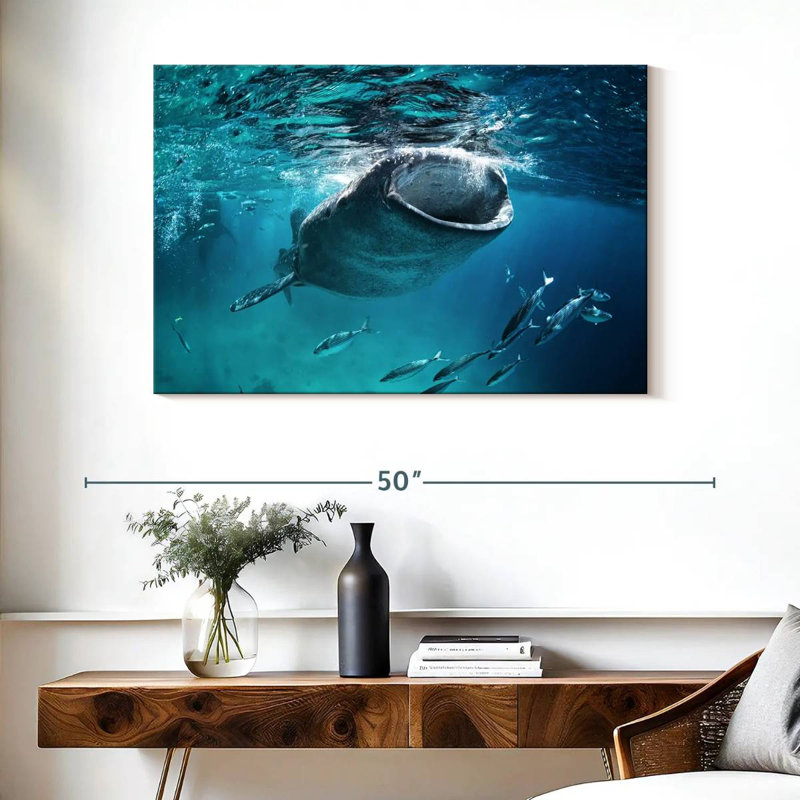 Brampt Gaping Whale Shark, 26" H x 39" W