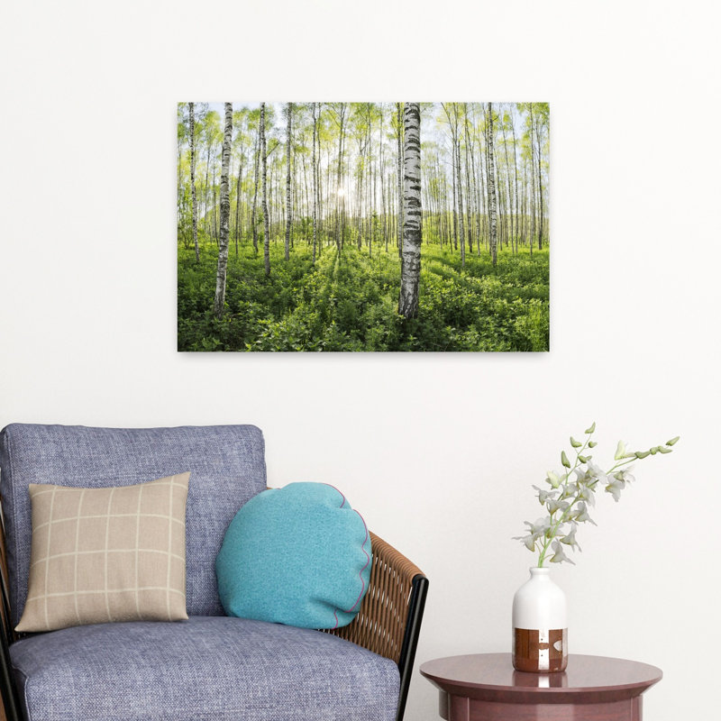 «Spring in the Birch Forest Abstract Contemporary Forest Landscape», art mural, H 16 po x l 24 po