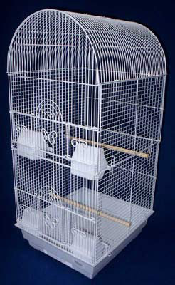 Cage à oiseau, Blanc