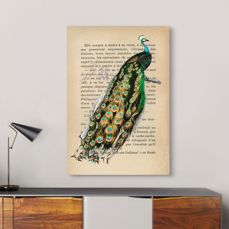 Indian Peafowl, After D'Orbigny by Stef Lamanche - Wrapped Canvas Print, 80cm H x 60cm W x 4cm D