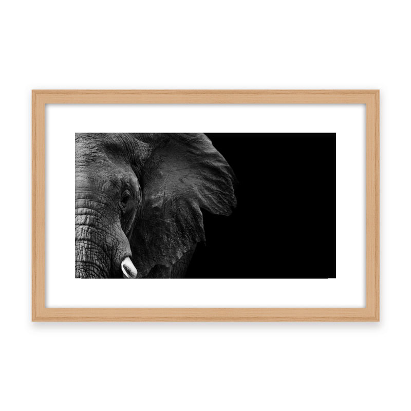 Nature Inspired Elephant by  - Picture Frame Photograph on Paper, 16" H x 24" W x 1.125" D, Framed Matted Print, Black