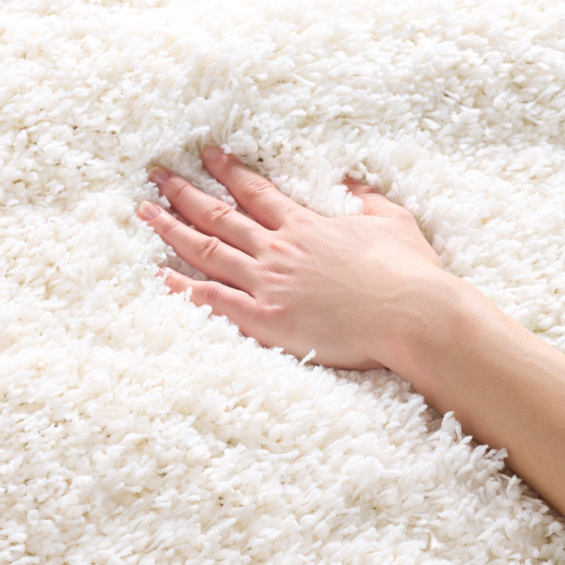 Assar White Area Rug, Rectangle 8' x 10'