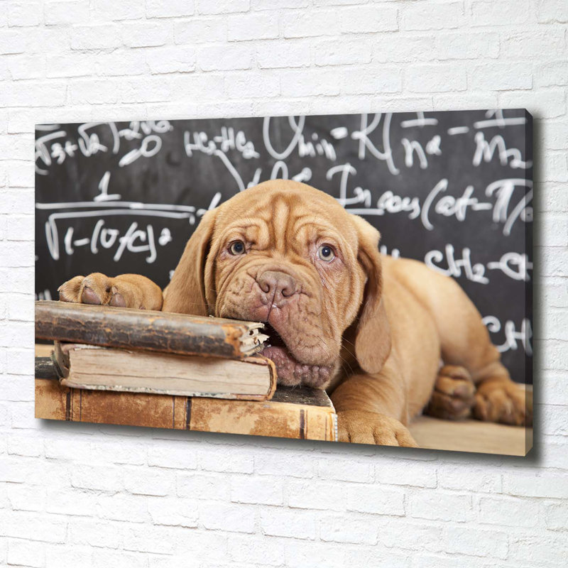 The Dog Bites The Book - Wrapped Canvas Print