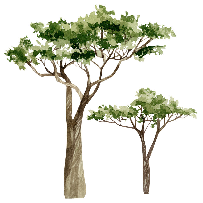 Trees Set - Wrapped Canvas Painting, 30cm H x 30cm W x 3.8cm D