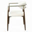 Chaise avec accoudoirs Clayten