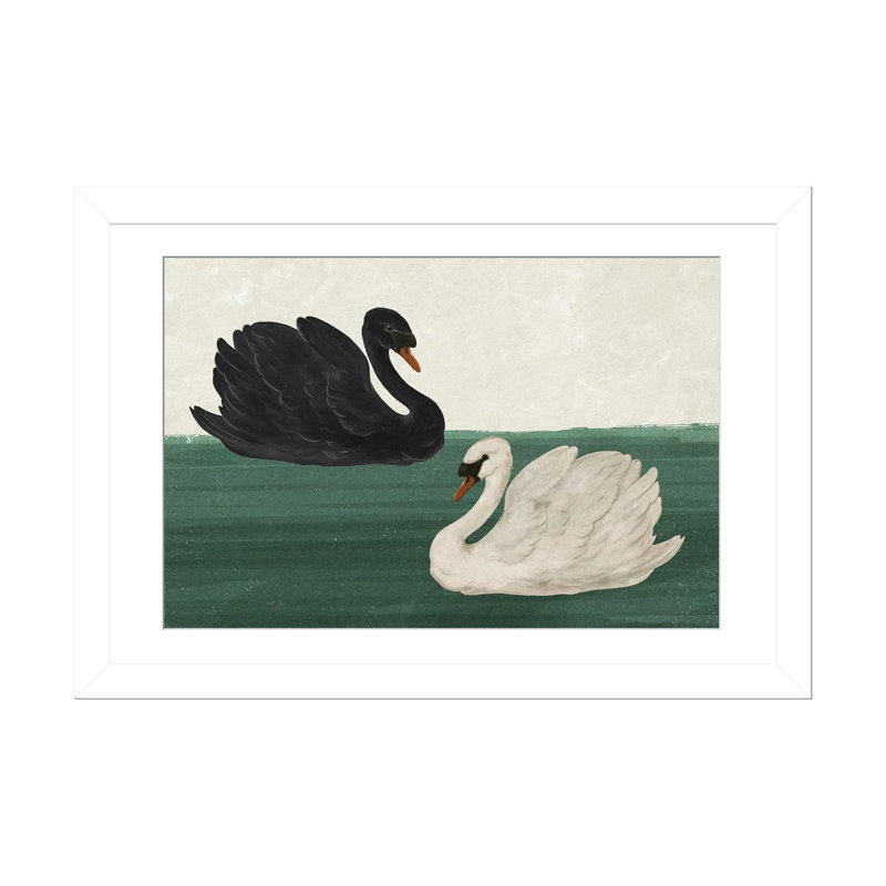 Noir cygne blanc cygne_1PFA, H 24 po x l 32 po, Cadre blanc