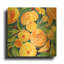 " Summery Citrus "-546600274