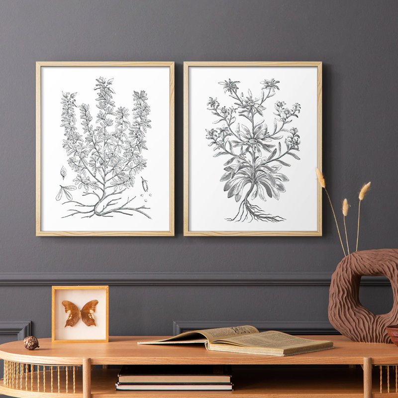 Reproduction encadrée V-Premium de B & W Plant - prêt à être accroché - aucun clou requis - aucun clou requis