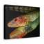 Reproduction d'art mural Caiman-821512687