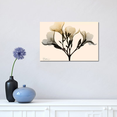 Oleander Dawn by Albert Koetsier - Wrapped Canvas Print