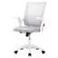 Raghi Height Adjustable Mesh Desk Chair Office Chair-1290026748-1290026745