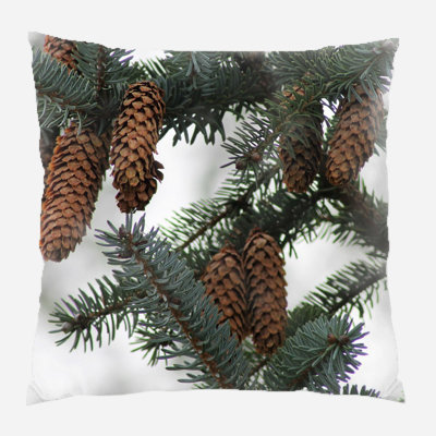 Canvas Outdoor Reversible Throw Pillow