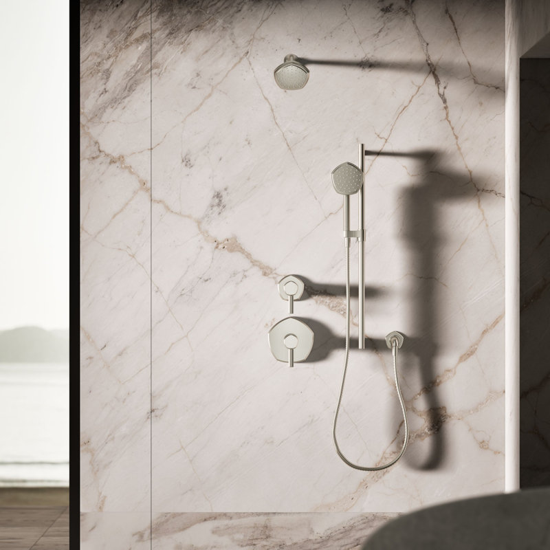 Occasion Single-Function 2.5 Gpm Handshower, Vibrant Brushed Nickel