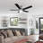Sadie 52'' Ceiling Fan with Light Kit