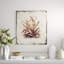 Botanique IV Print by Zoey Riley-26940159-26940161