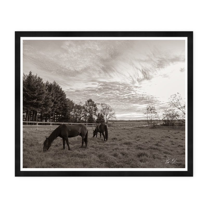 Grazing II par Tim Klein - Photographie avec cadre photo